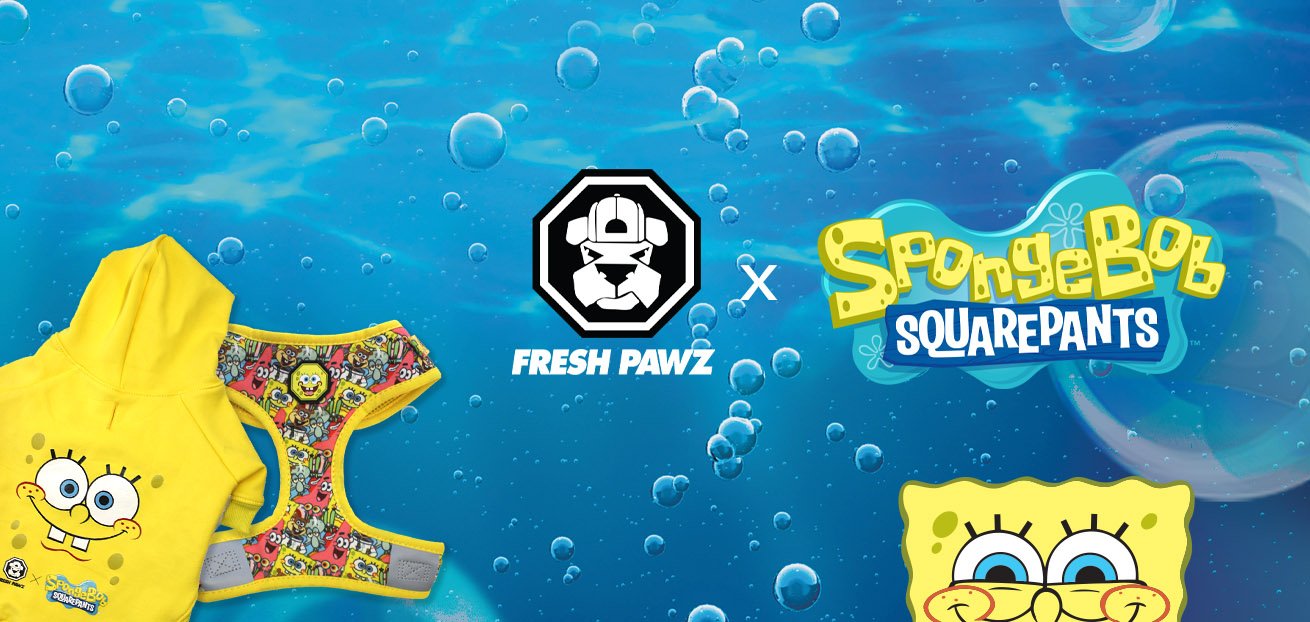 SpongeBob Pet Harness - Fresh Pawz – SpongeBob SquarePants Shop