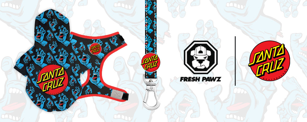 Fresh Pawz  Dog Clothing Tagged PacSun collection