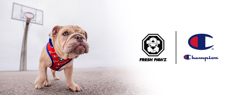 Fresh Pawz Monogram Hype Hoodie | Dog Clothing - Red - L