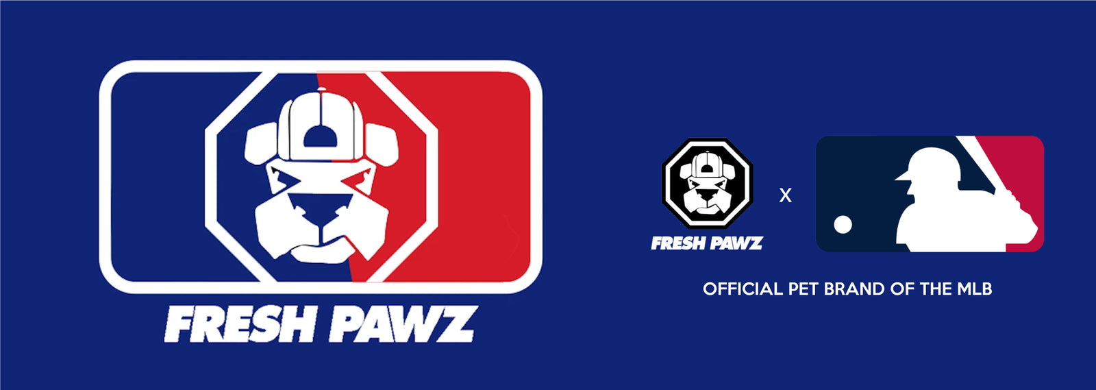 Boston Celtics x Fresh Pawz - Hardwood Hoodie, Dog Clothing