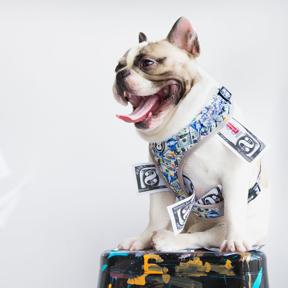 Monogram Hype Bandana // Multicolor (Large) - Fresh Pawz Streetwear For Dogs  - Touch of Modern