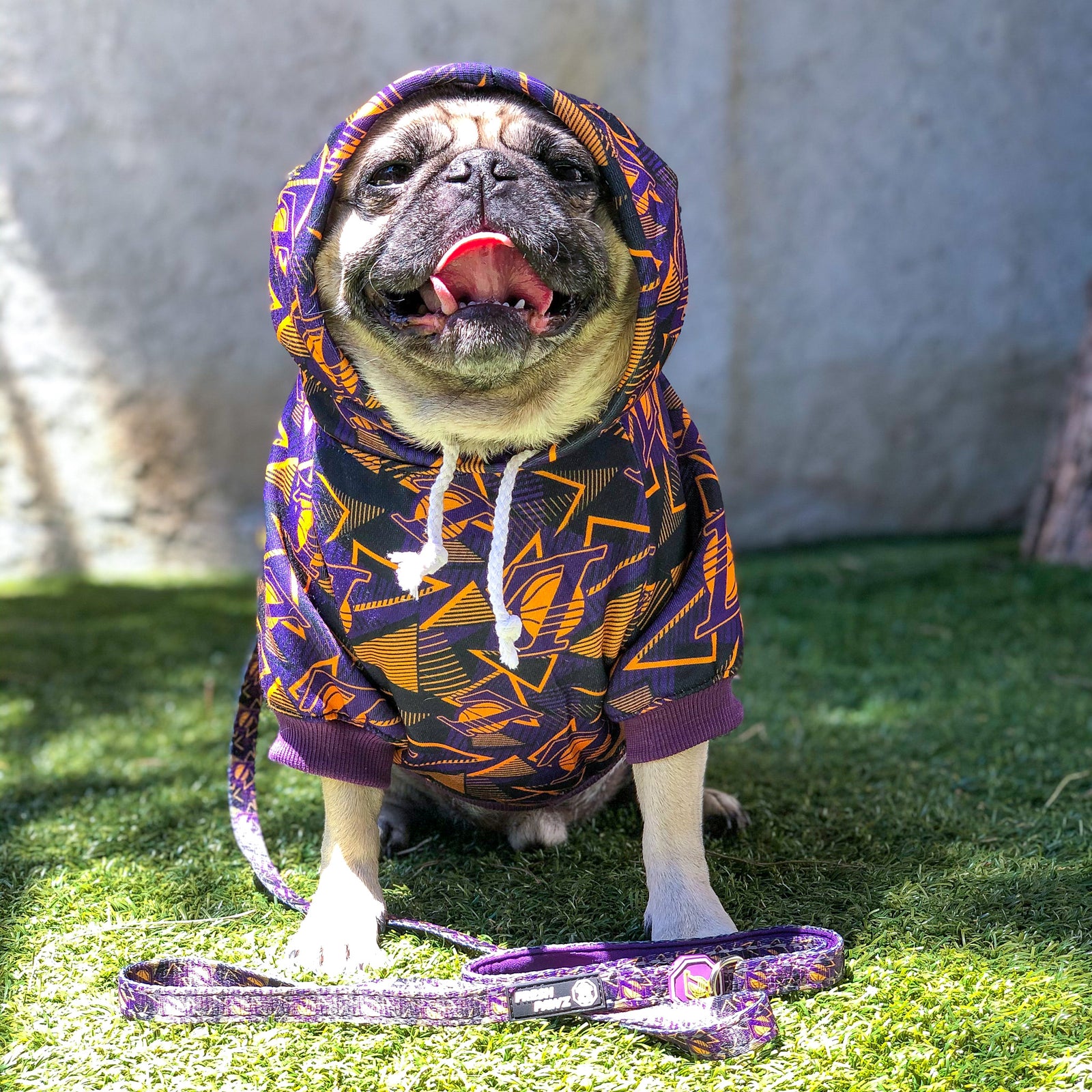 The Official Streetwear Brand for Dogs - @freshpawz